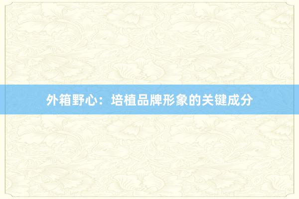 外箱野心：培植品牌形象的关键成分