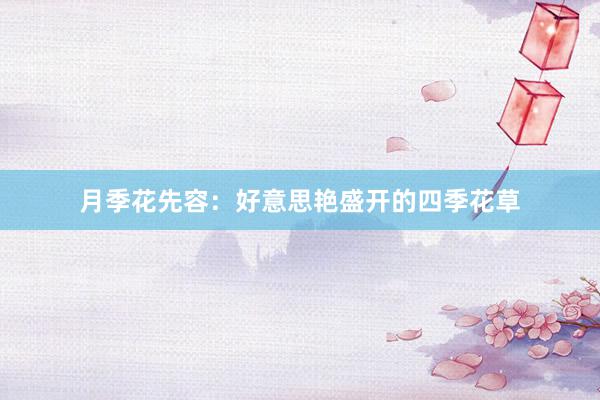 月季花先容：好意思艳盛开的四季花草