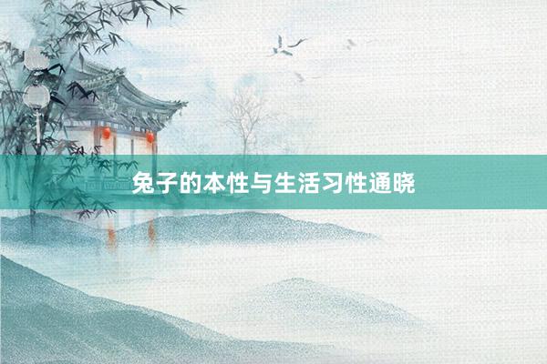 兔子的本性与生活习性通晓