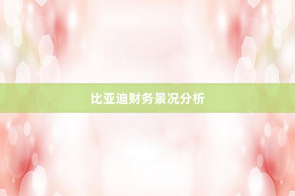比亚迪财务景况分析