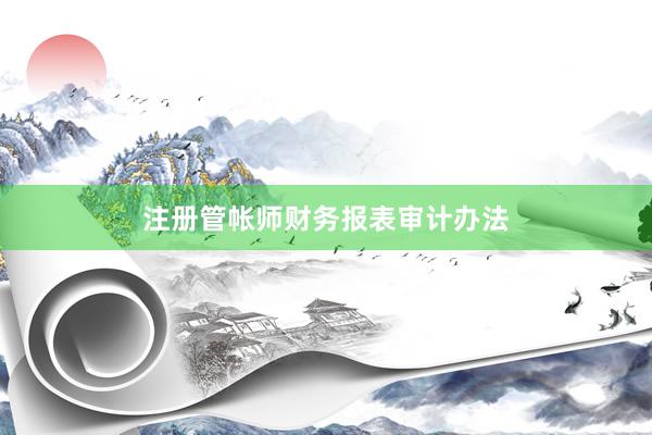 注册管帐师财务报表审计办法