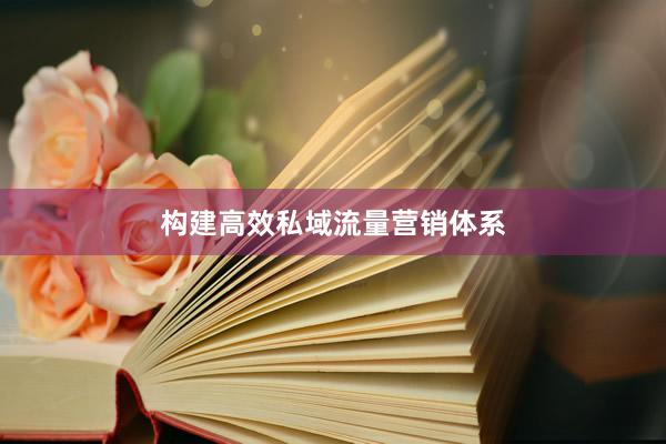 构建高效私域流量营销体系